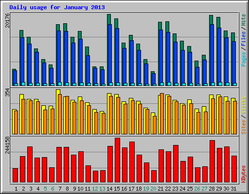 Daily usage for January 2013